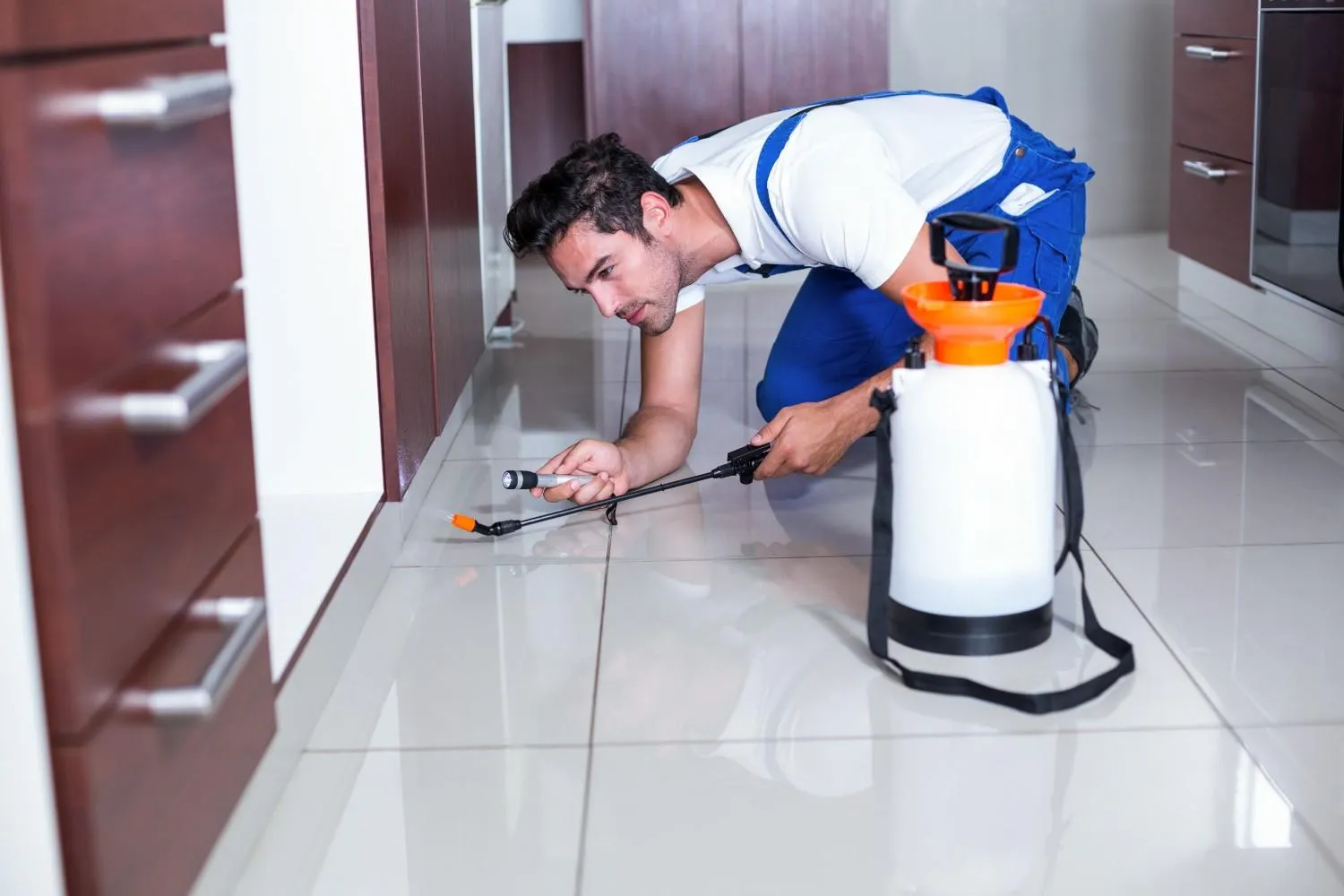 Residential pest defense service