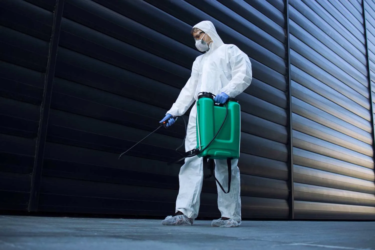 Rodent defense services