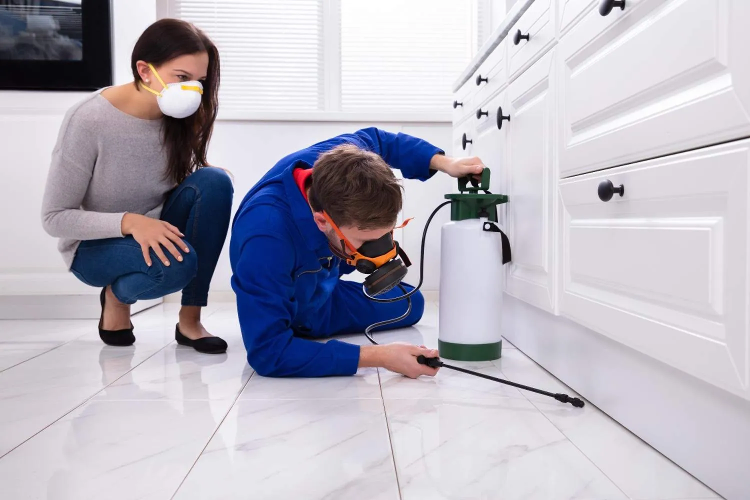 Pest Defenses professional technician